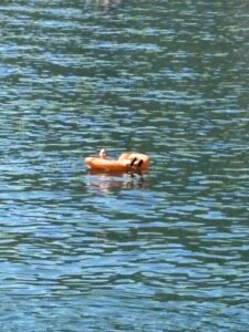 Reisekostenzuschuss für die Sommerferien zu vergeben