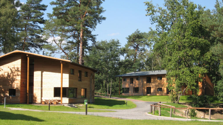Gästehaus der Jugendherberge Bremsdorfer Mühle zwischen Kiefern